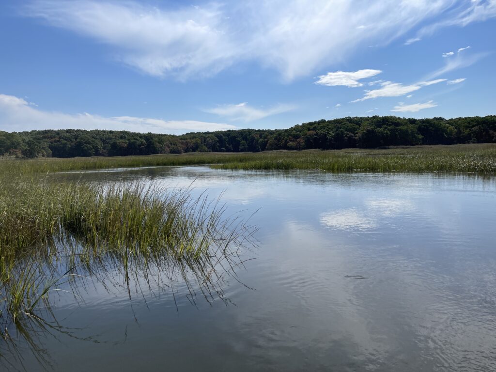 a body of water with grass and trees around it (MyCoast AI)