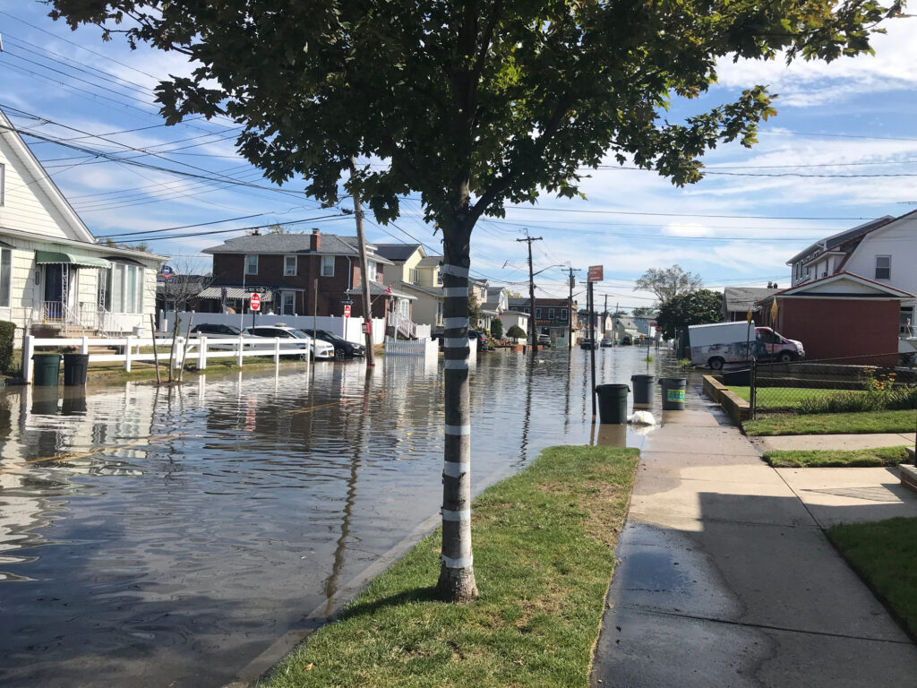 a flooded street with a tree (MyCoast AI)