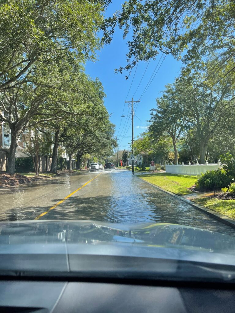 a wet road with trees on either side of it (MyCoast AI)