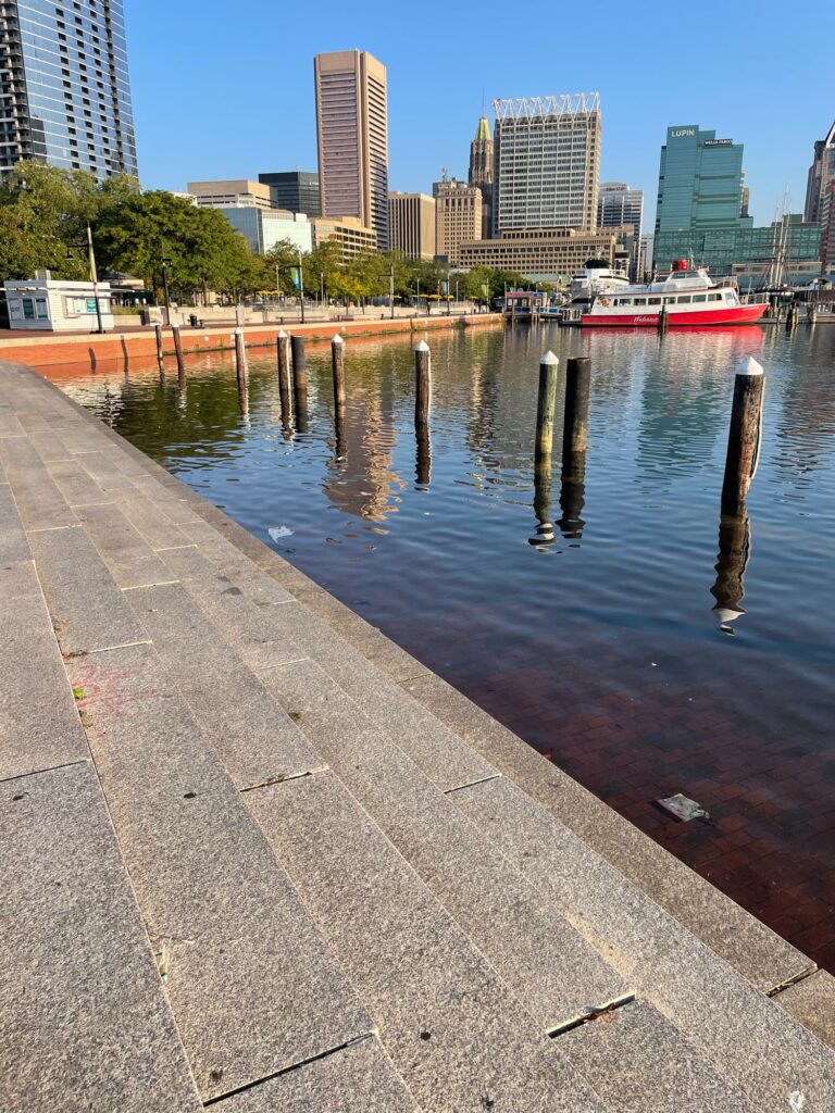 a body of water with a dock and boats in it (MyCoast AI)