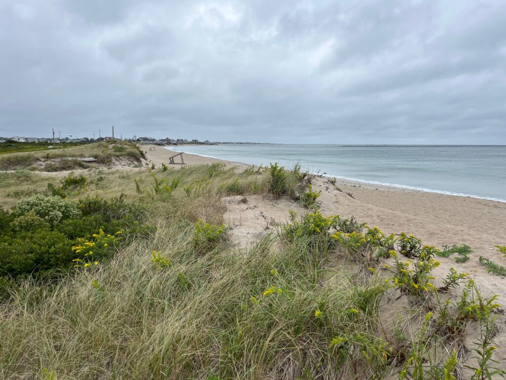 a beach with grass and sand (MyCoast AI)