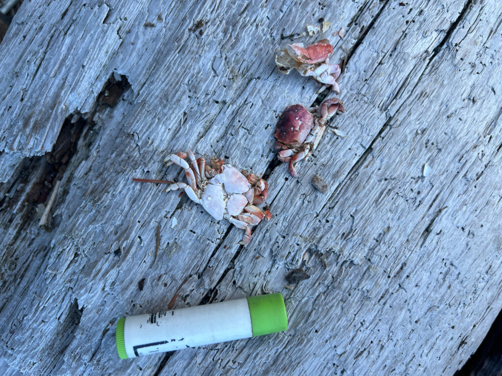 a cigarette and a pack of cigarettes on a wood surface (MyCoast AI)