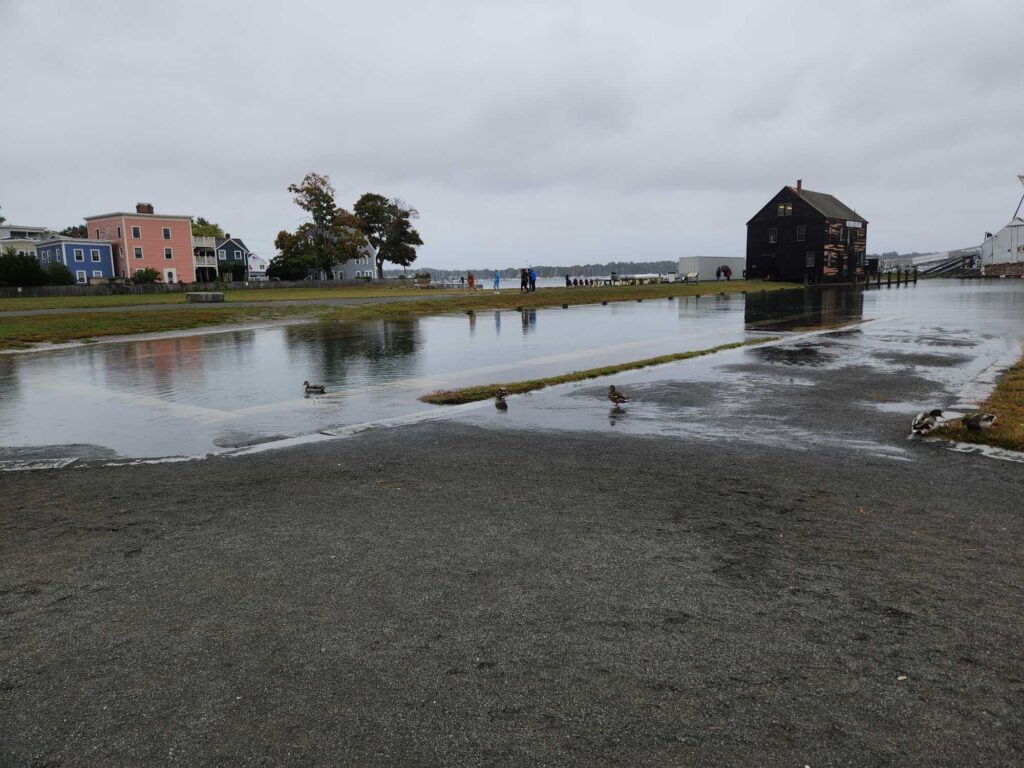 a body of water with a group of ducks in it (MyCoast AI)