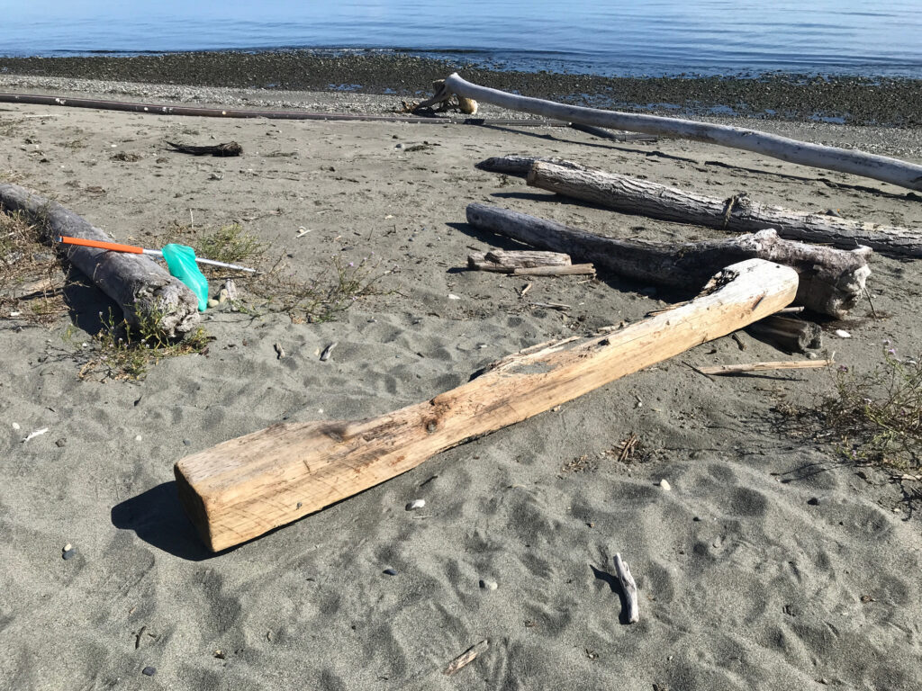 a group of wood pieces on a beach (MyCoast AI)