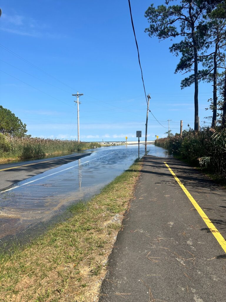 a road with water on the side (MyCoast AI)