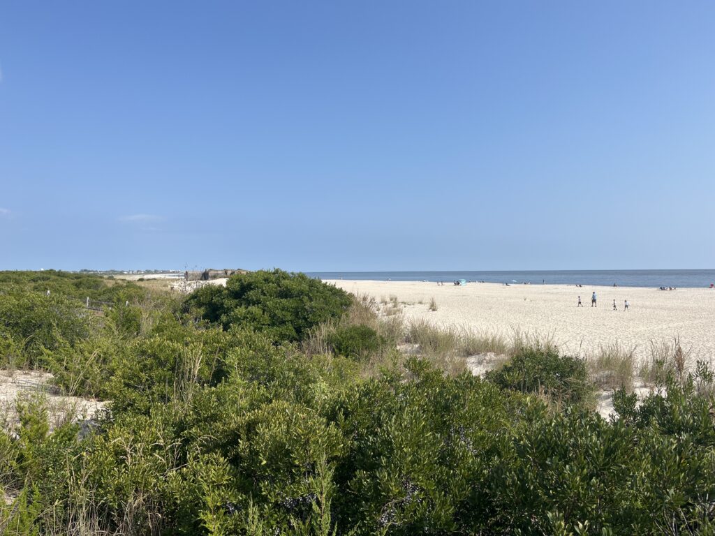 a beach with bushes and trees (MyCoast AI)
