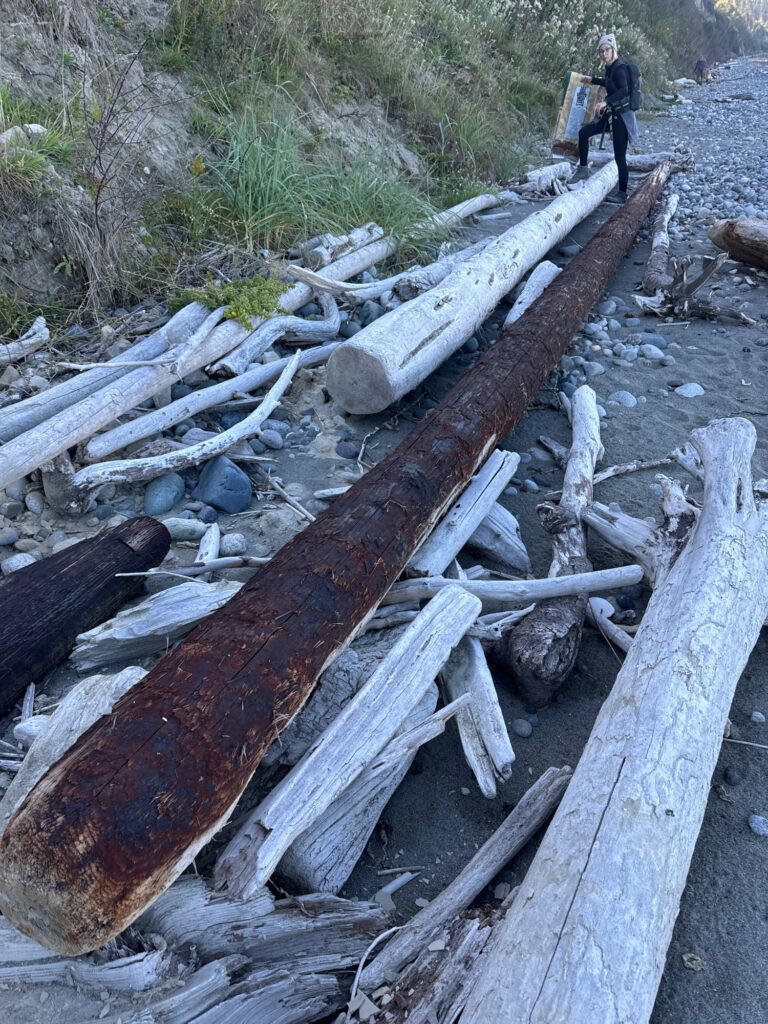 a person standing next to a pile of wood (MyCoast AI)