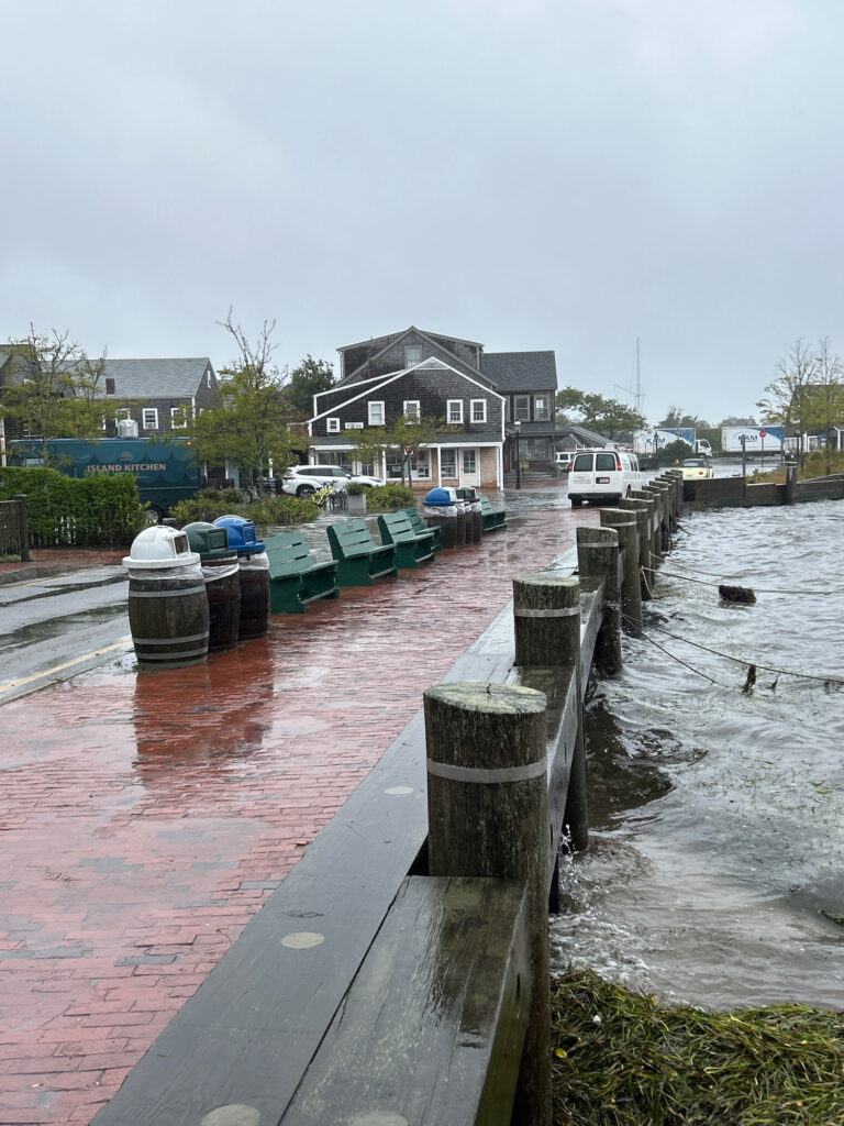 a dock with boats and houses along it (MyCoast AI)
