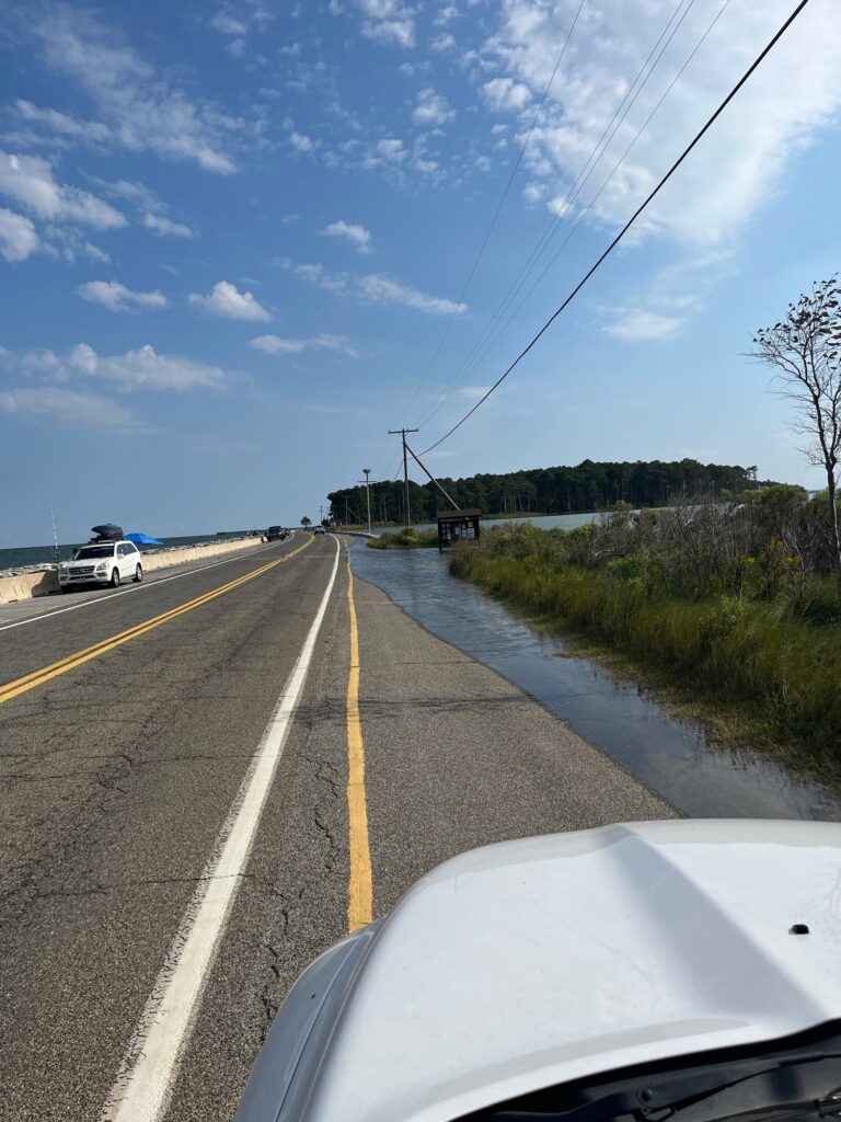 a car driving down a road (MyCoast AI)