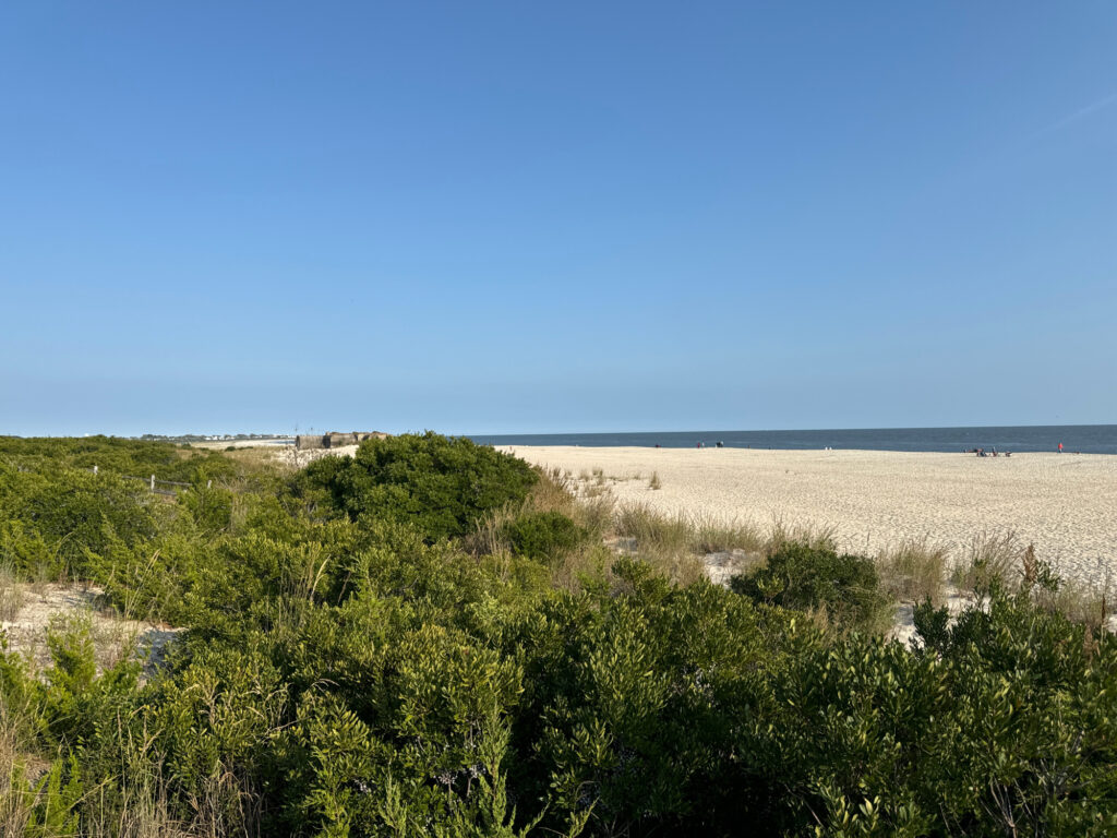 a sandy beach with bushes and trees (MyCoast AI)