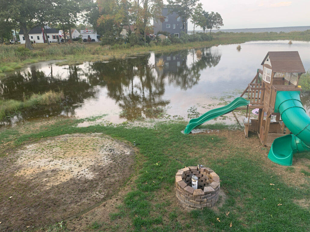 a pond with a fire pit and a fire pit with a fire pit and a house and trees (MyCoast AI)