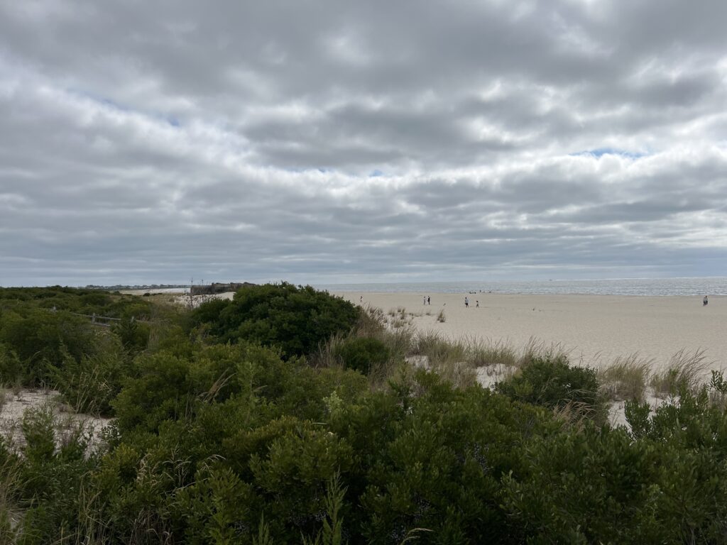 a beach with trees and bushes (MyCoast AI)