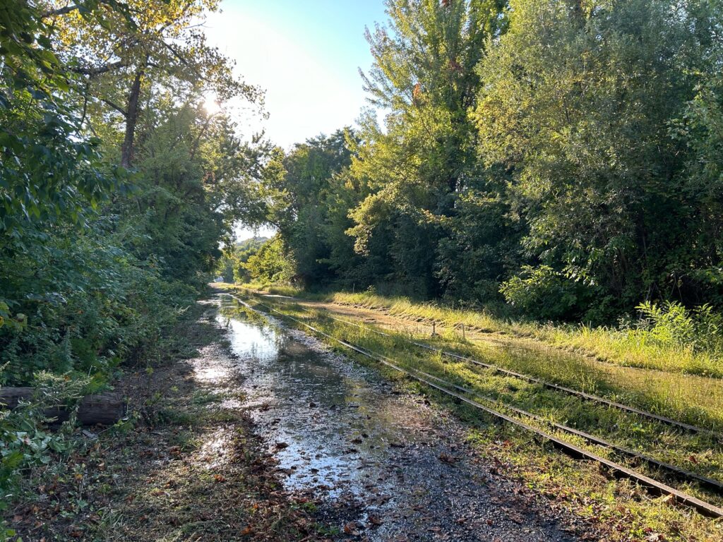 a dirt road with trees on either side of it (MyCoast AI)