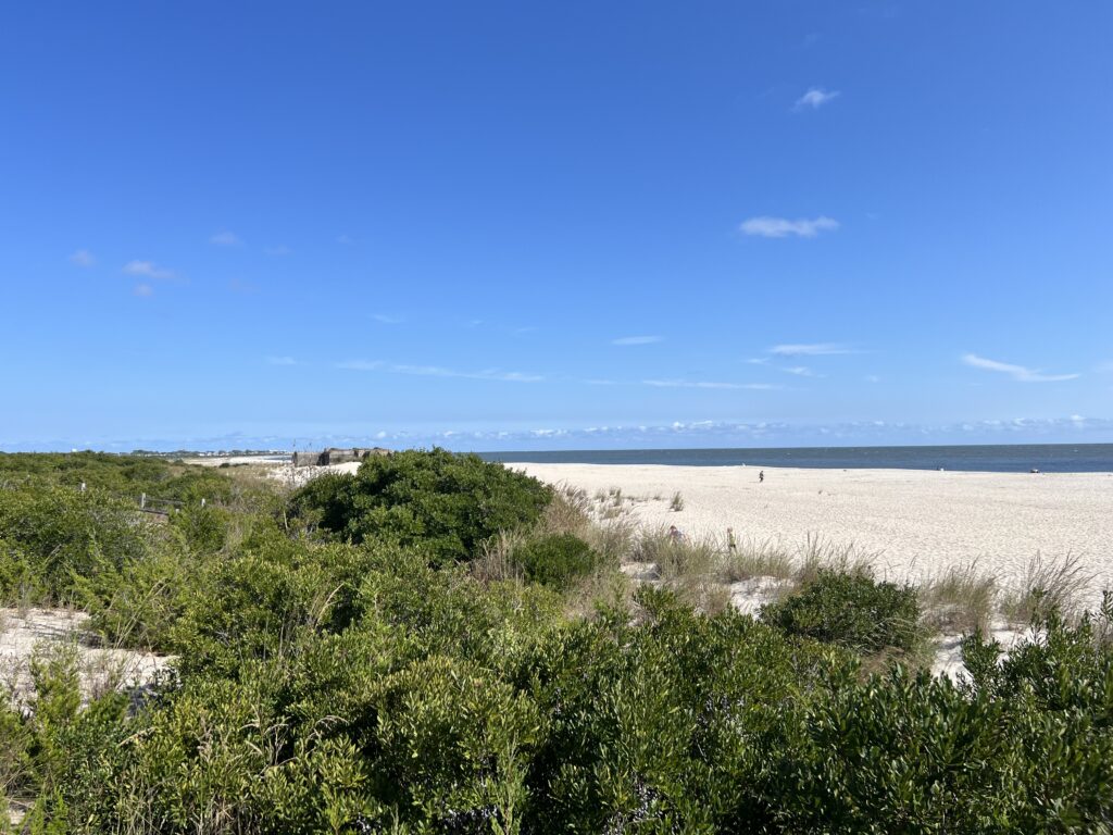 a sandy beach with bushes and trees (MyCoast AI)