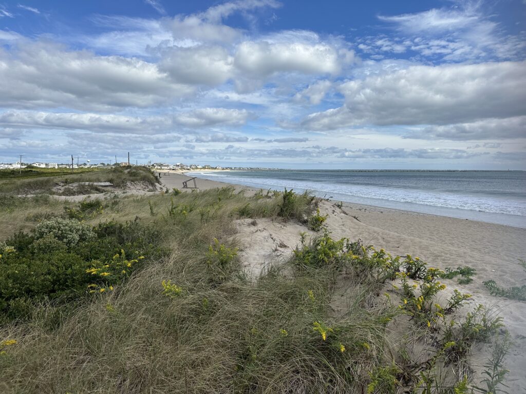 a beach with sand and grass (MyCoast AI)