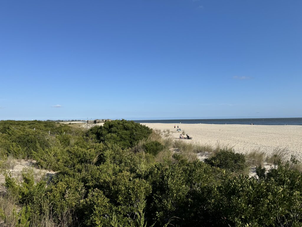 a sandy beach with bushes and trees (MyCoast AI)