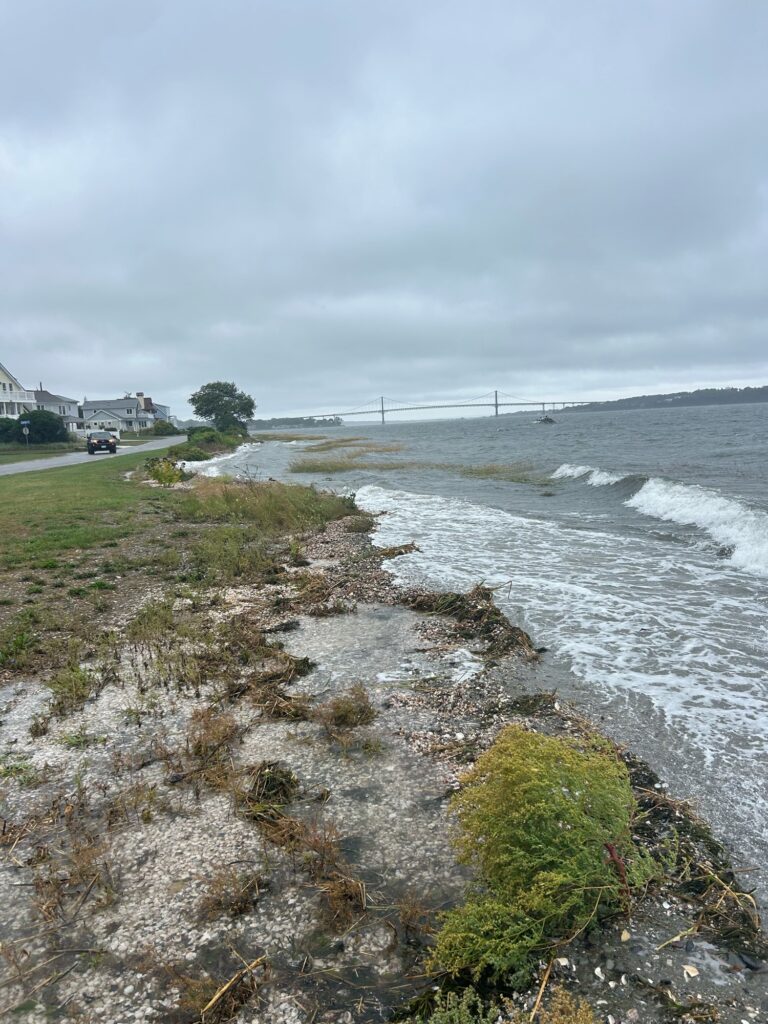 a body of water with grass and a road by it (MyCoast AI)