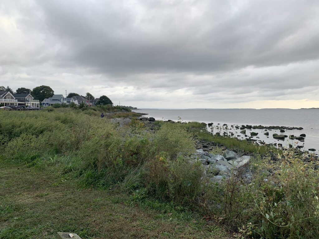 a grassy area next to a body of water (MyCoast AI)