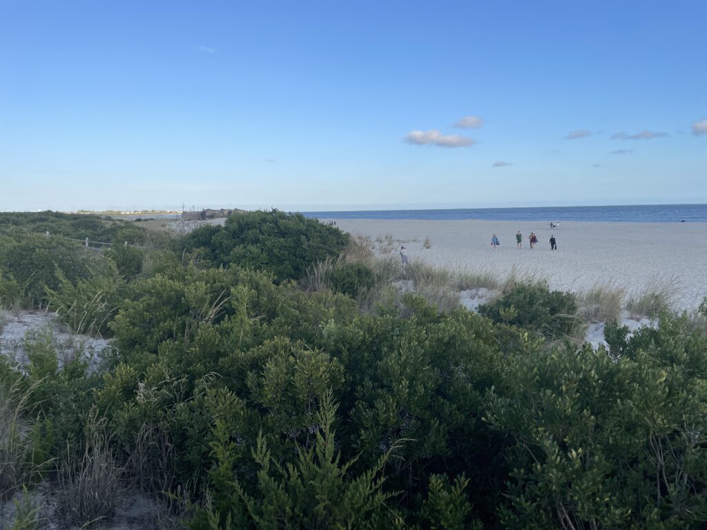 a group of people walking on a beach (MyCoast AI)