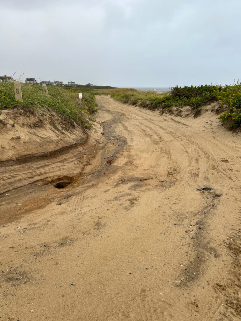 a dirt road with bushes on the side (MyCoast AI)