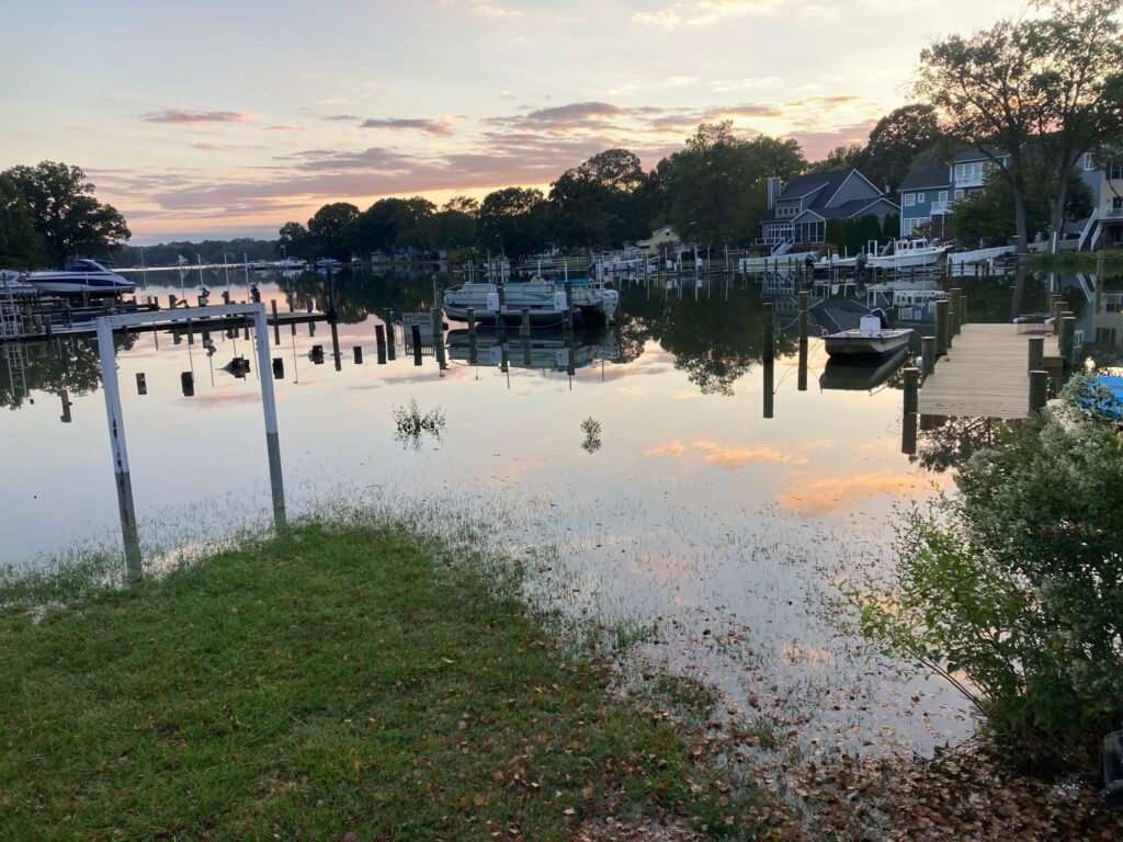 boats docked at a pier (MyCoast AI)