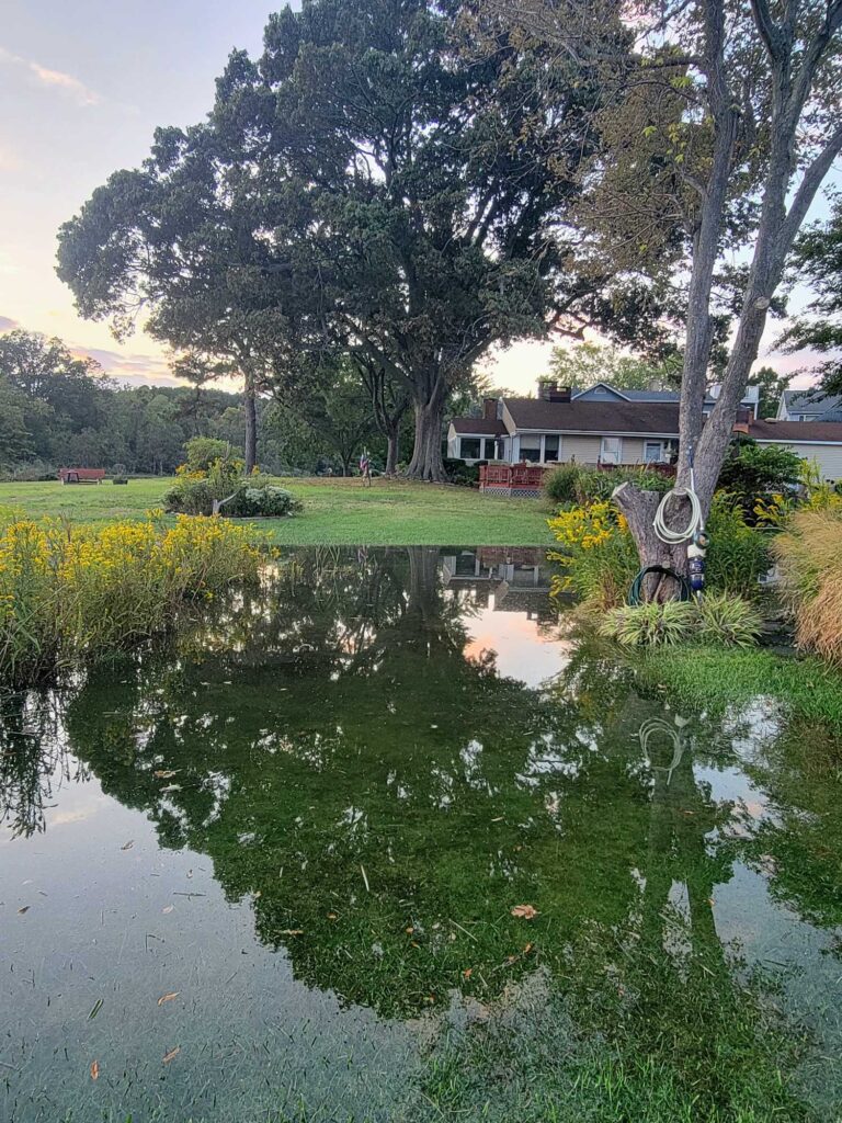 a pond with a house in the background (MyCoast AI)