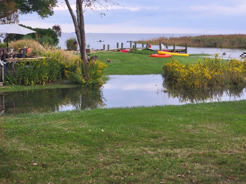 a pond with grass and trees around it (MyCoast AI)