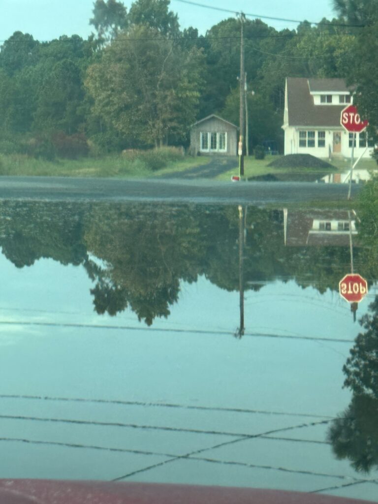 a stop sign next to a body of water (MyCoast AI)