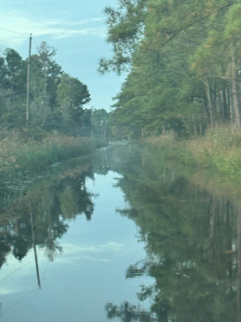 a river with trees on the side (MyCoast AI)