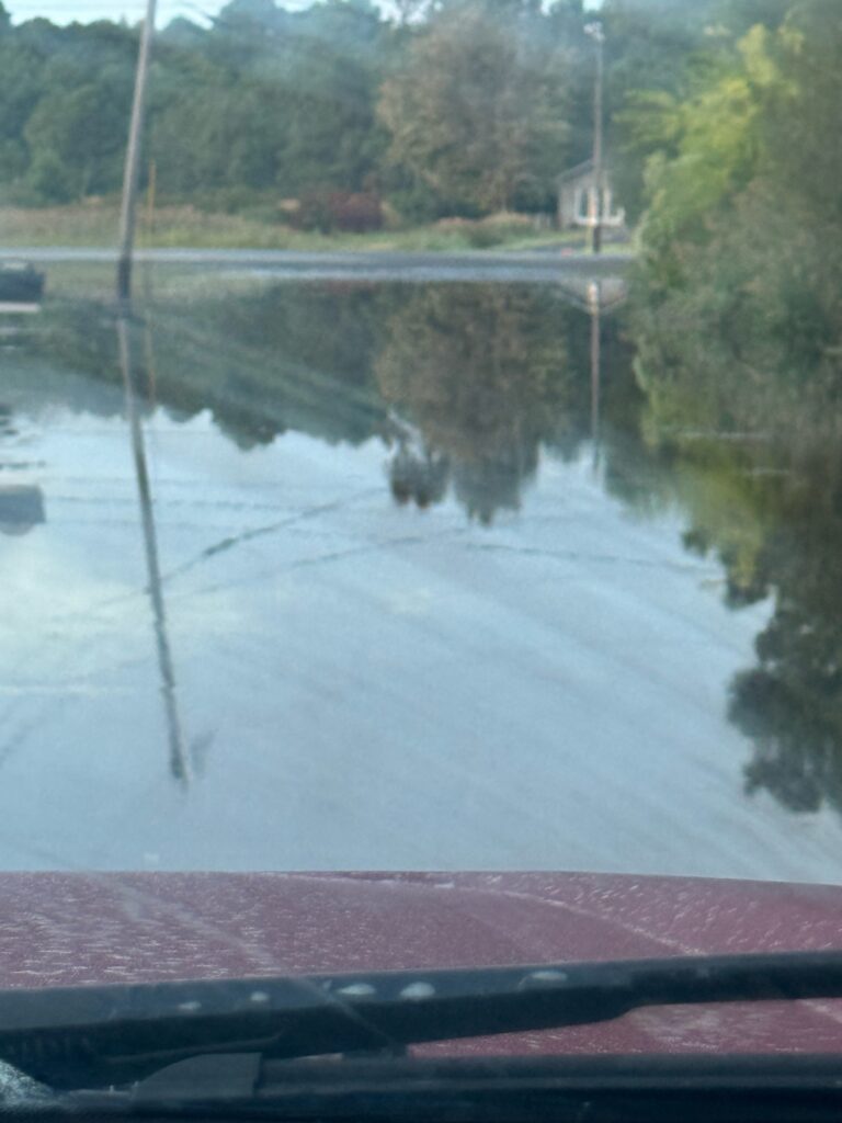 a flooded road with trees (MyCoast AI)