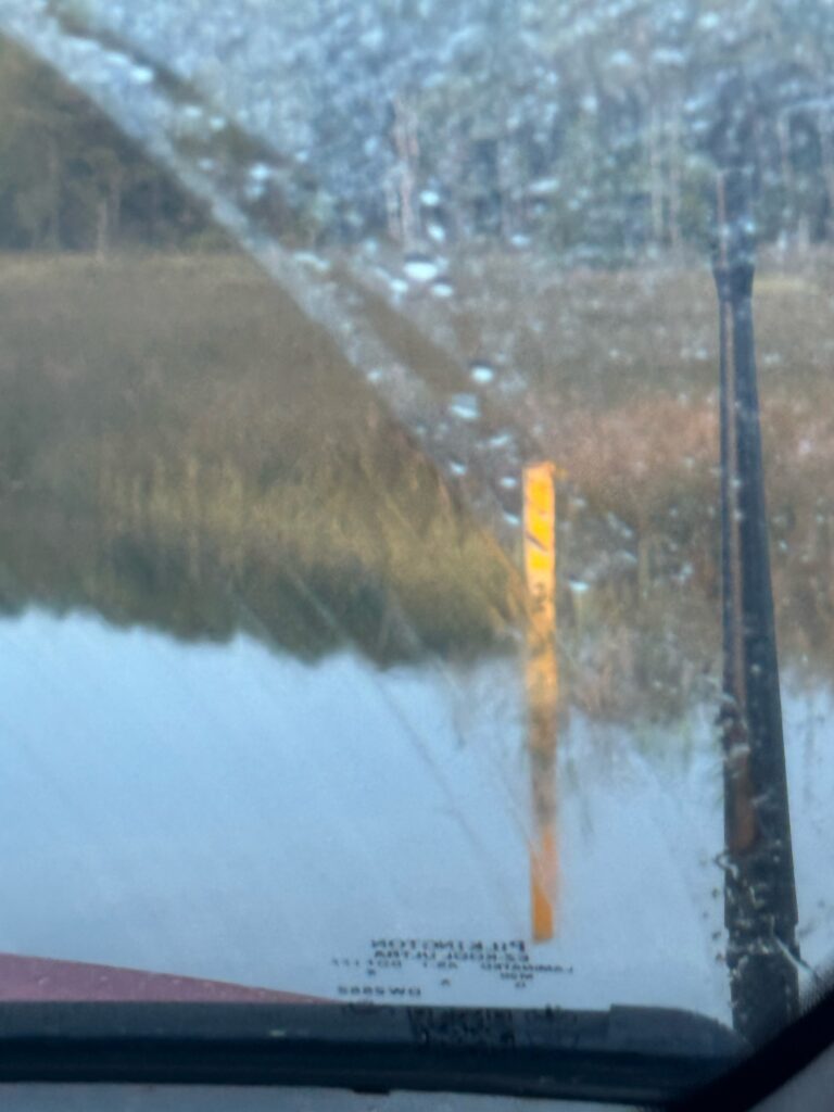 a yellow pole in a field (MyCoast AI)