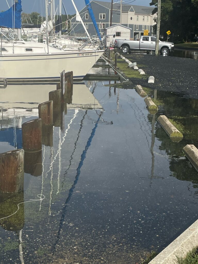 a boat docked at a pier (MyCoast AI)