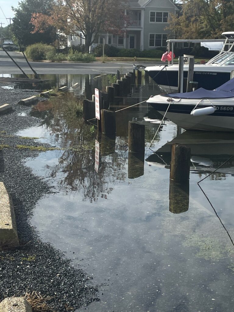 boats in a harbor (MyCoast AI)