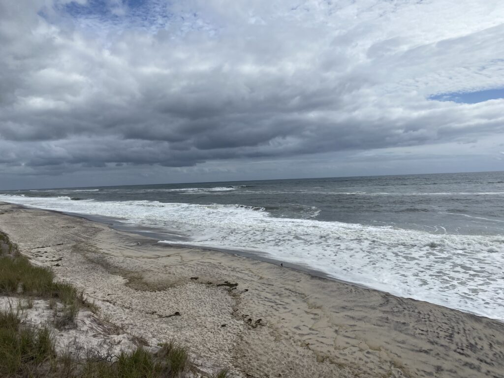 a beach with waves crashing on it (MyCoast AI)