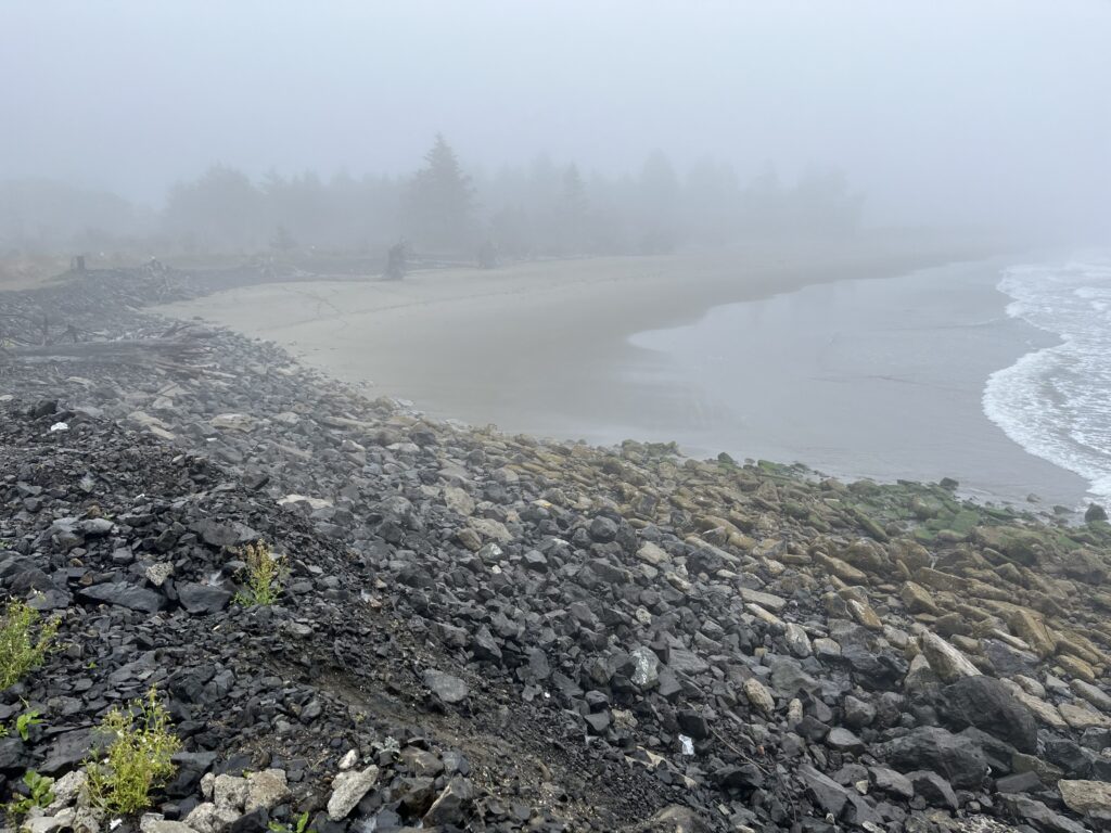 a rocky beach with fog (MyCoast AI)