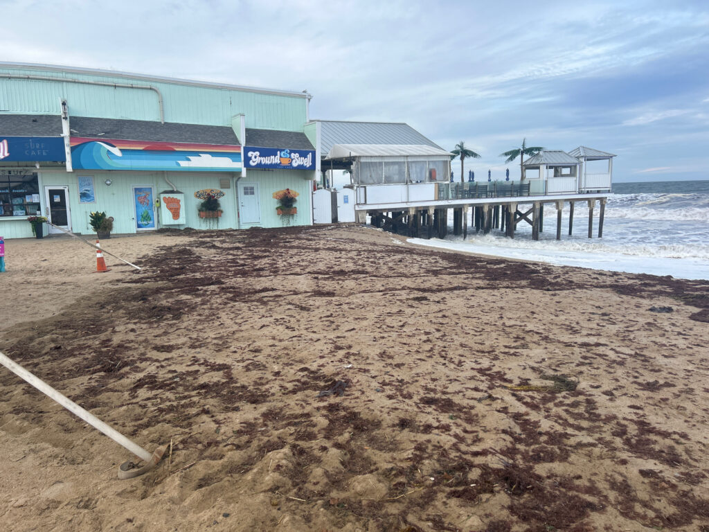 a beach with buildings along it (MyCoast AI)