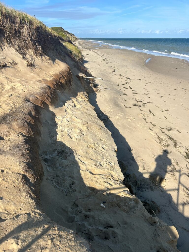 a sandy beach with a hill (MyCoast AI)