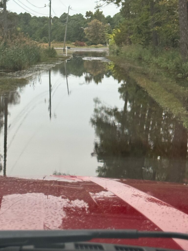 a flooded road with trees on either side of it (MyCoast AI)