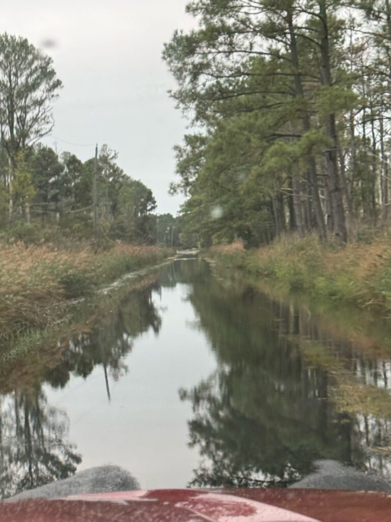 a river with trees on the side (MyCoast AI)