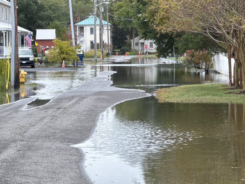a flooded street with houses and trees (MyCoast AI)