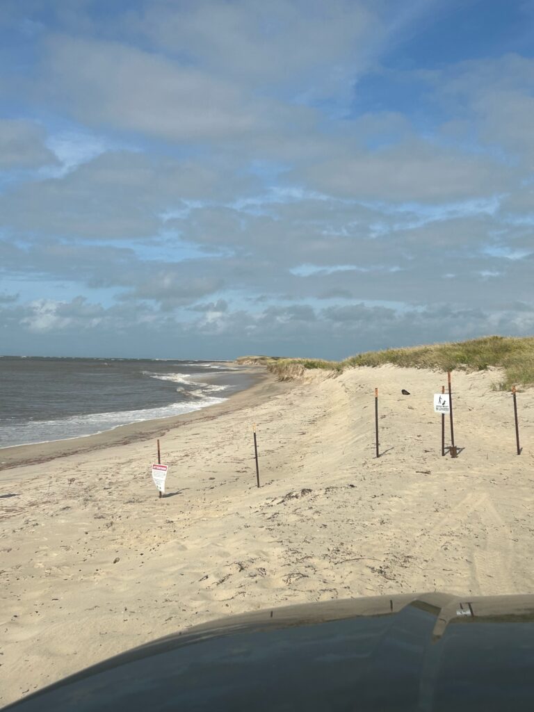 a sandy beach with signs (MyCoast AI)