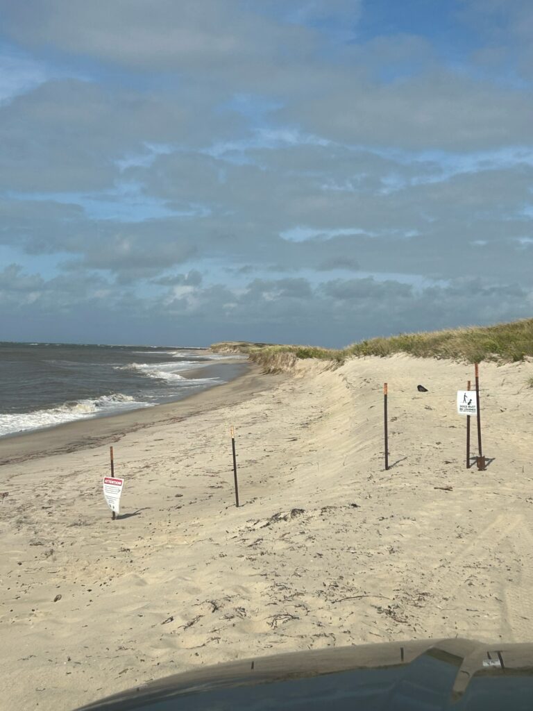 a beach with a flag (MyCoast AI)