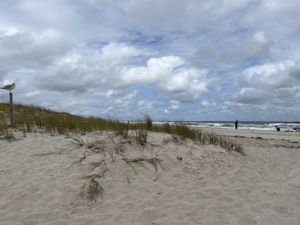 a sandy beach with bushes and a cloudy sky (MyCoast AI)