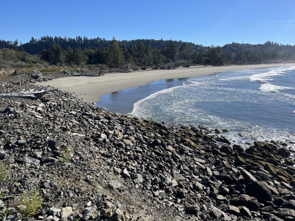 a rocky beach with trees in the background (MyCoast AI)