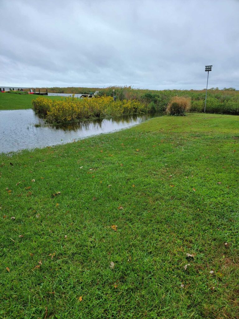 a grassy area next to a body of water (MyCoast AI)