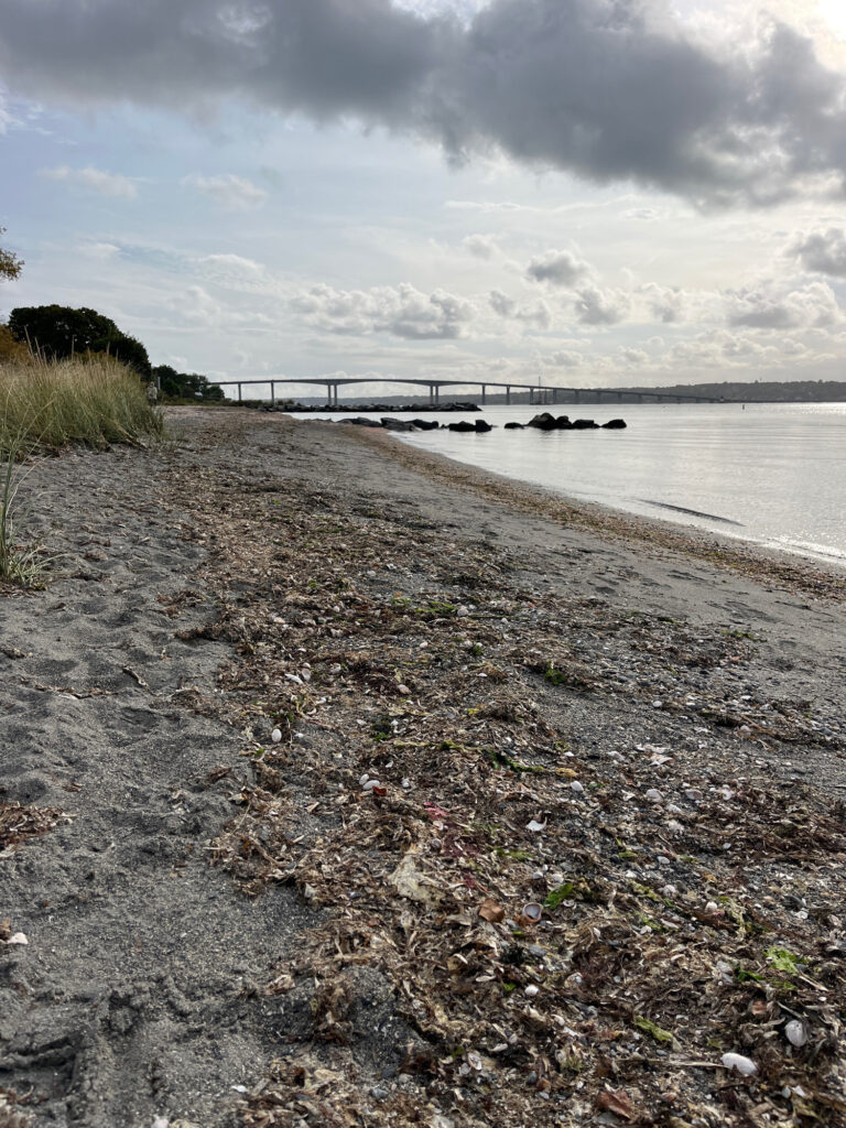 a beach with a pier and a body of water (MyCoast AI)
