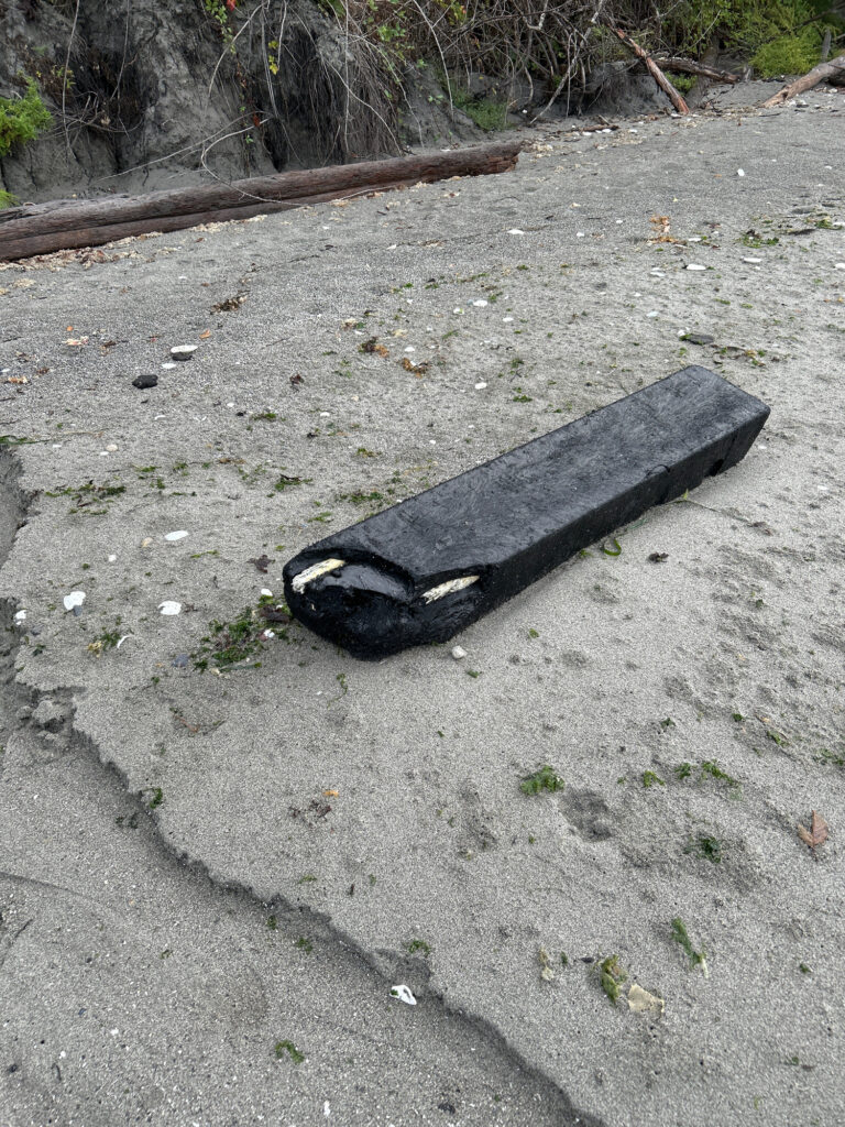 a black object on the ground (MyCoast AI)