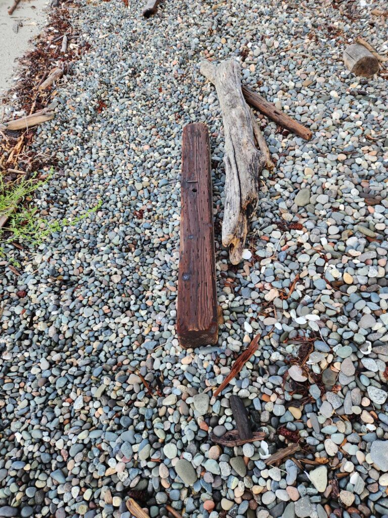 a tree stump on a rocky ground (MyCoast AI)