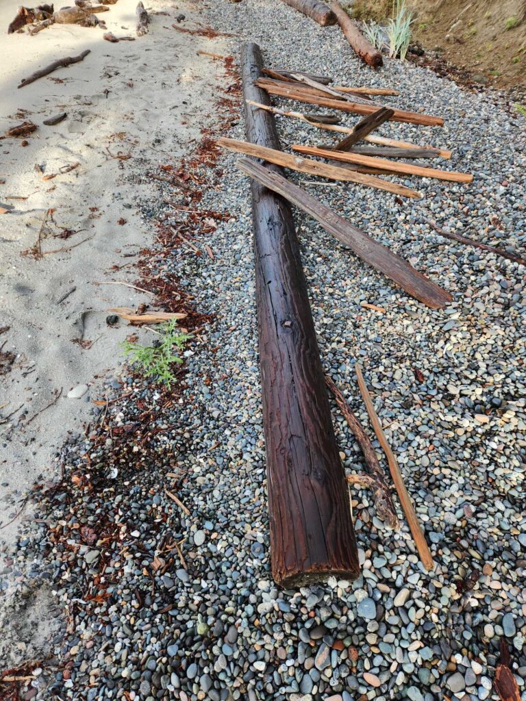 a group of wooden sticks on a rocky ground (MyCoast AI)