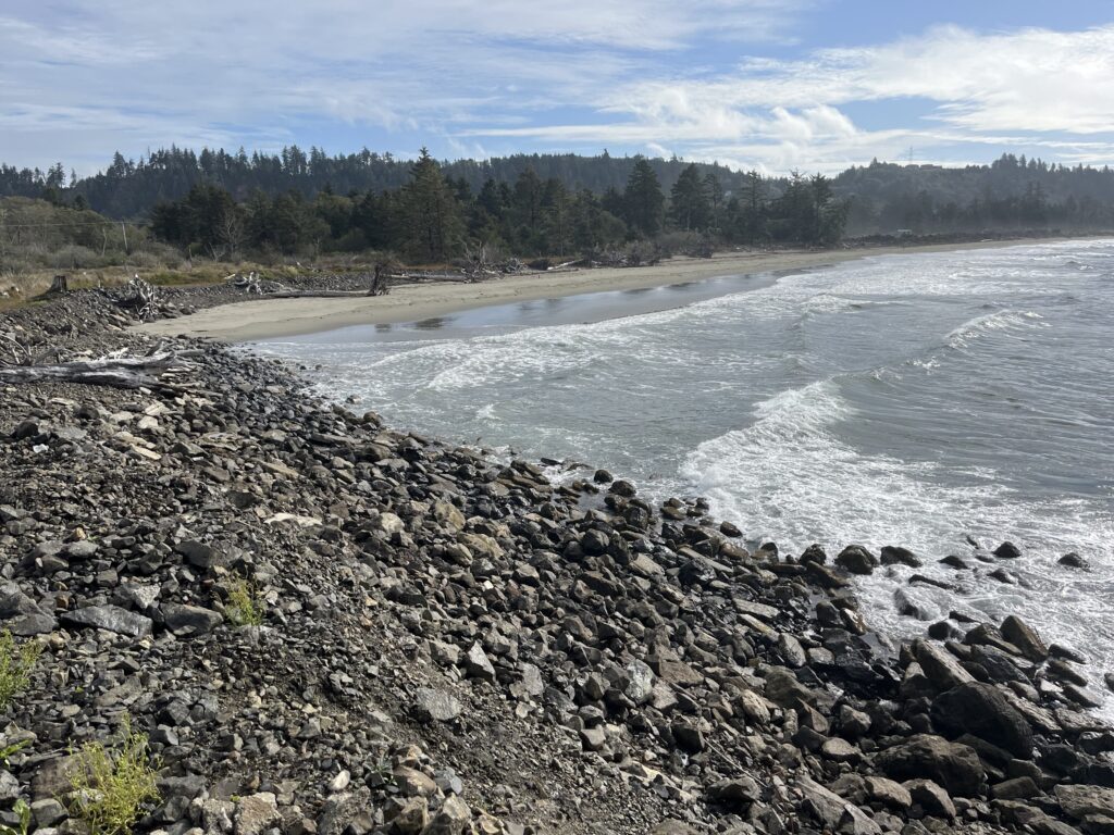 a rocky beach with trees in the background (MyCoast AI)